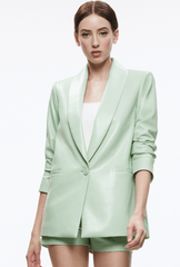 Alice & Olivia Denny Vegan Leather Shawl Collar Blazer in Pistachio