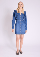 Berenice REEM Dress in Blue Denim