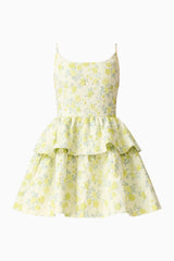 Elliatt Posey Jacquard Mini Dress in Green Floral