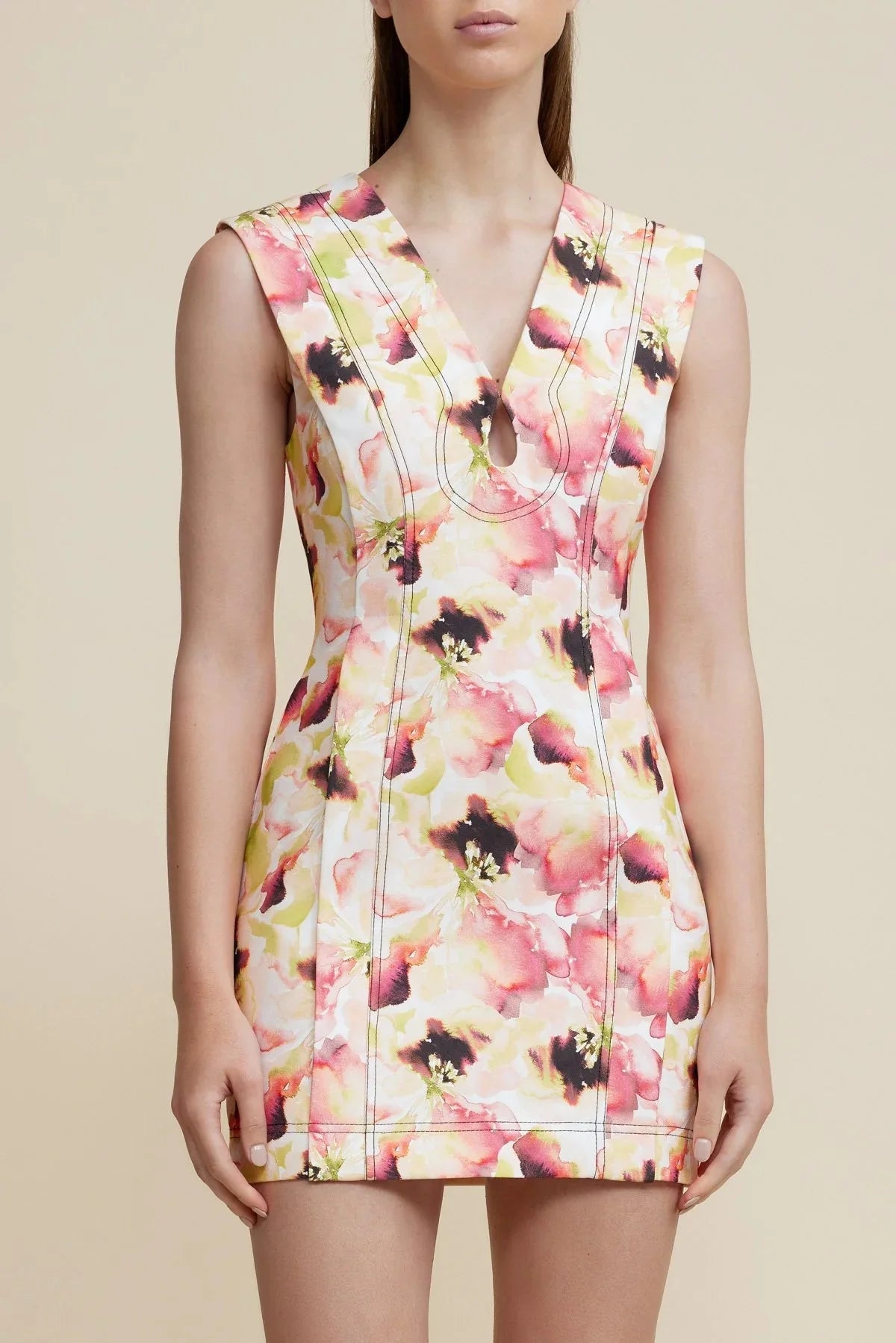 Acler Coolidge Mini Dress in Dipped Rose Print