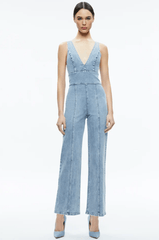 Alice + Olivia Sandra Jumpsuit in Sullivan Vintage