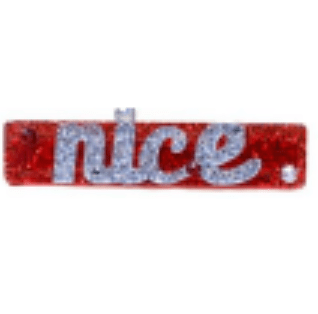 Bari Lynn Nice Crystalized Word Alligator Clip