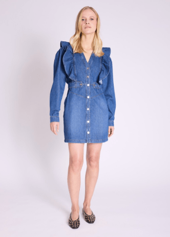 Berenice REEM Dress in Blue Denim