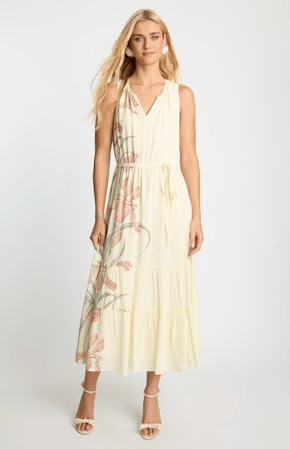 Caballero Carol Dress in Stippled Iris