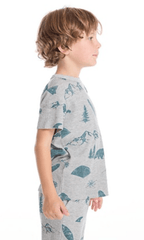 Chaser Boys Short Sleeve Tee in Camper Dream