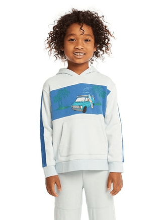 Chaser Kids Fleece Hoodie in Surf Van