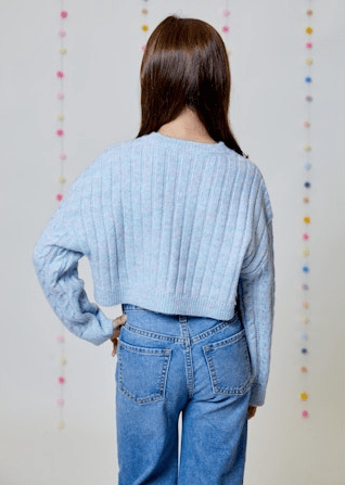 Design History Girl Sweater in Blue Pink Combo