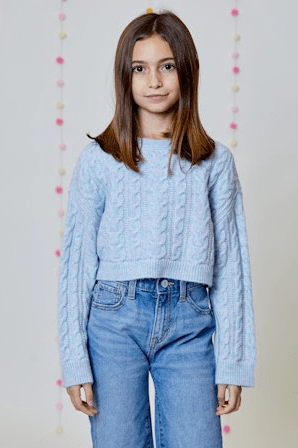 Design History Girl Sweater in Blue Pink Combo
