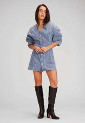 ética Ryleigh Mini Dress in Atwater