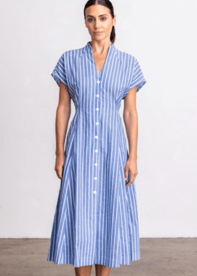 Go Silk Go For A Spin Dress in Borrow Boys Stripe