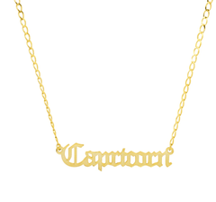 Jen Hansen Capricorn Zodiac Necklace